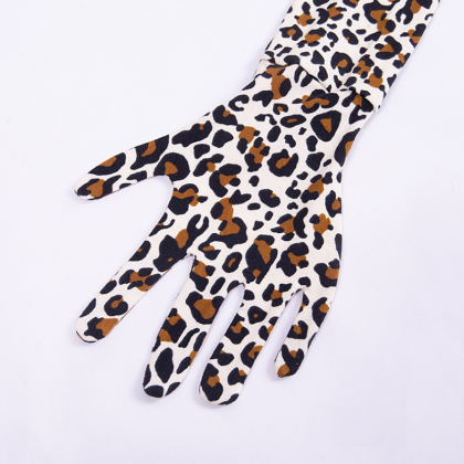 Leopard Print Dress With Long Sleeves, Mittens,..