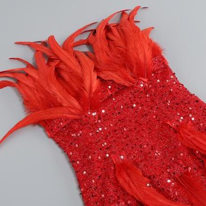 Heavy Feathered Sequin Design Feeling With Chest..