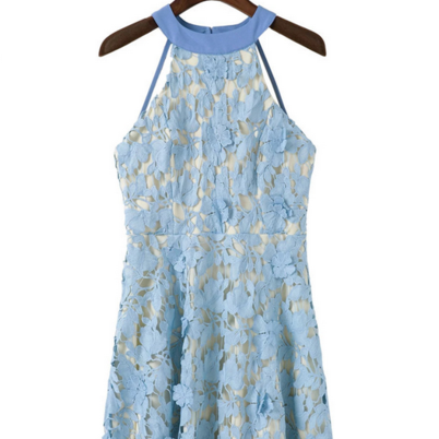 Floral Lace Appliquéd Short Skater Dress..