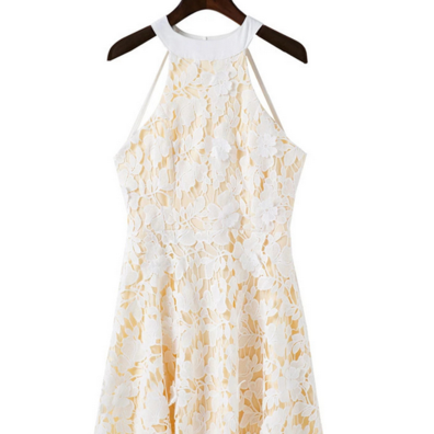 Floral Lace Appliquéd Short Skater Dress..