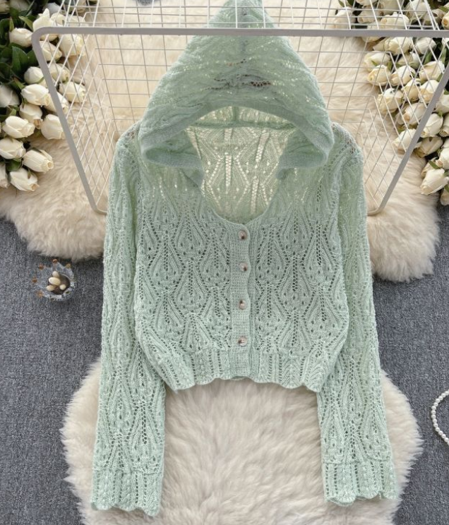 Knit Hooded Shirt Women's Summer Hollowed-out Hook Flower Long Sleeve Design Sense Niche Unique Top