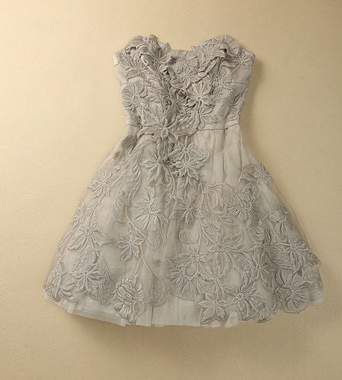 The Women's Lace Embroidery Dress