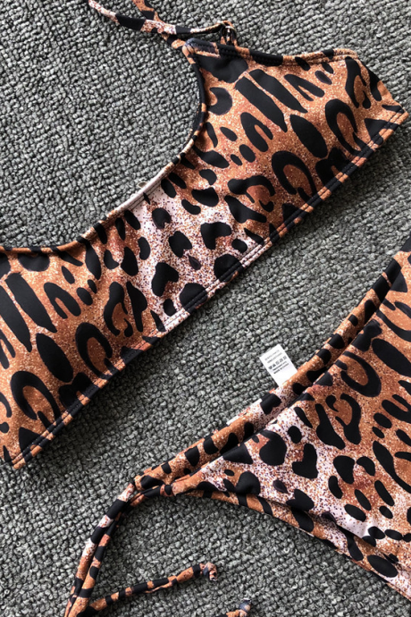 2019 Leopard Split Bikini Women's Swimsuit Explosion Swimsuit
