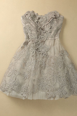 The Women's Lace Embroidery Dress