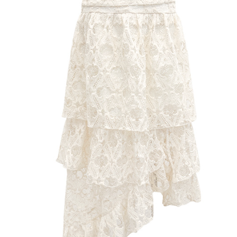 Early spring new fashion high-waisted design sense of temperament lace skirt