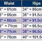 High Waist Shorts